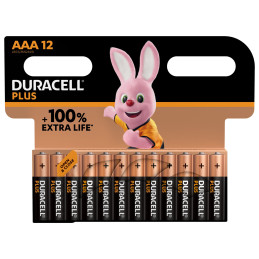 DURACELL PLUS POWER AAA 12S