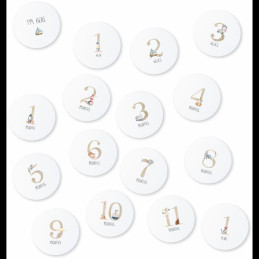 Echo Baby Milestone Cards - Nautical