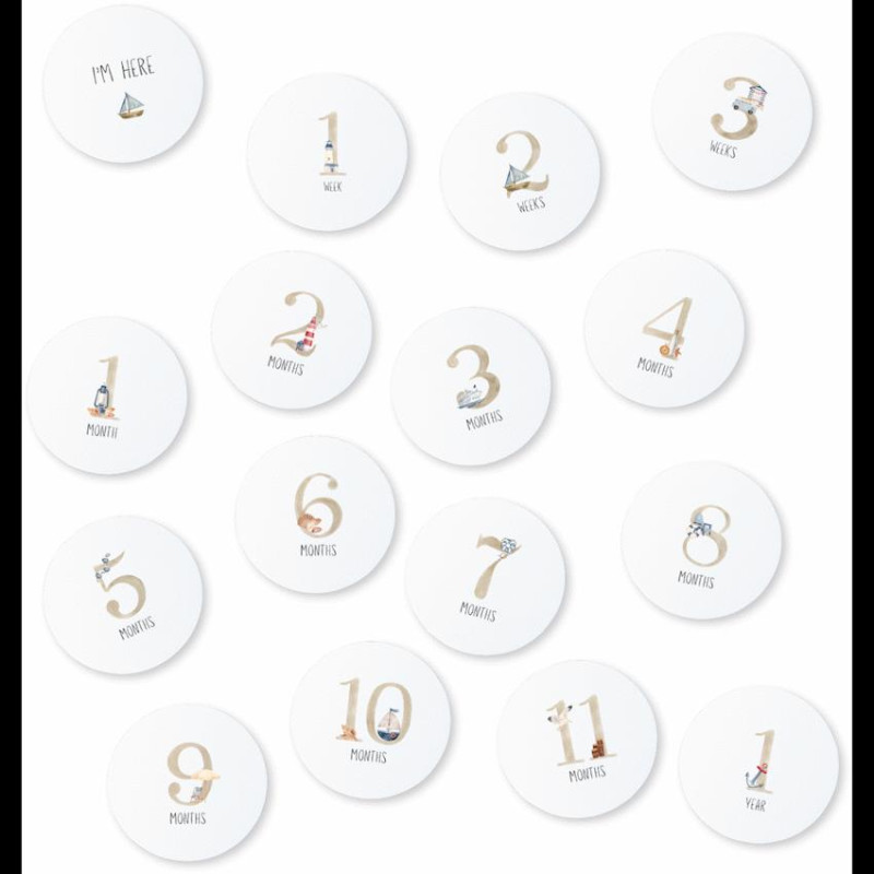 Echo Baby Milestone Cards - Nautical